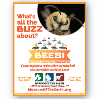 Bees Exhibit 1/4 page newspaper ad