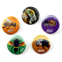 Bee of the Month buttons