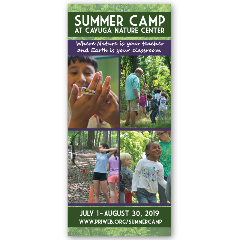 Cayuga Nature Center Summer Camp rack card