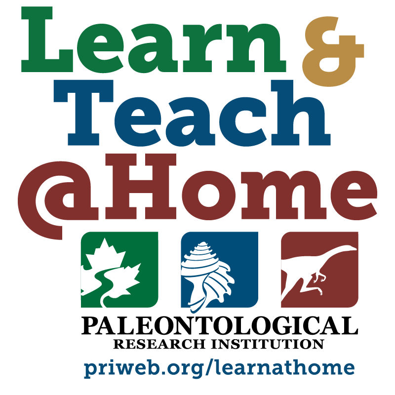 Learn and Teach at Home