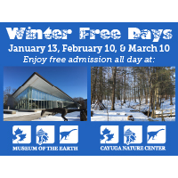 Winter Free Days social media ad